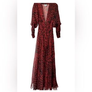 NWT Redemption Long Sleeve Leopard print Maxi dress